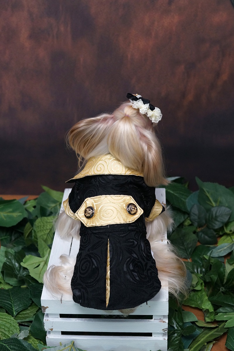 Handmade Dog Clothes Luxurious - Suitsupply Wedding Tuxedo recension och pris