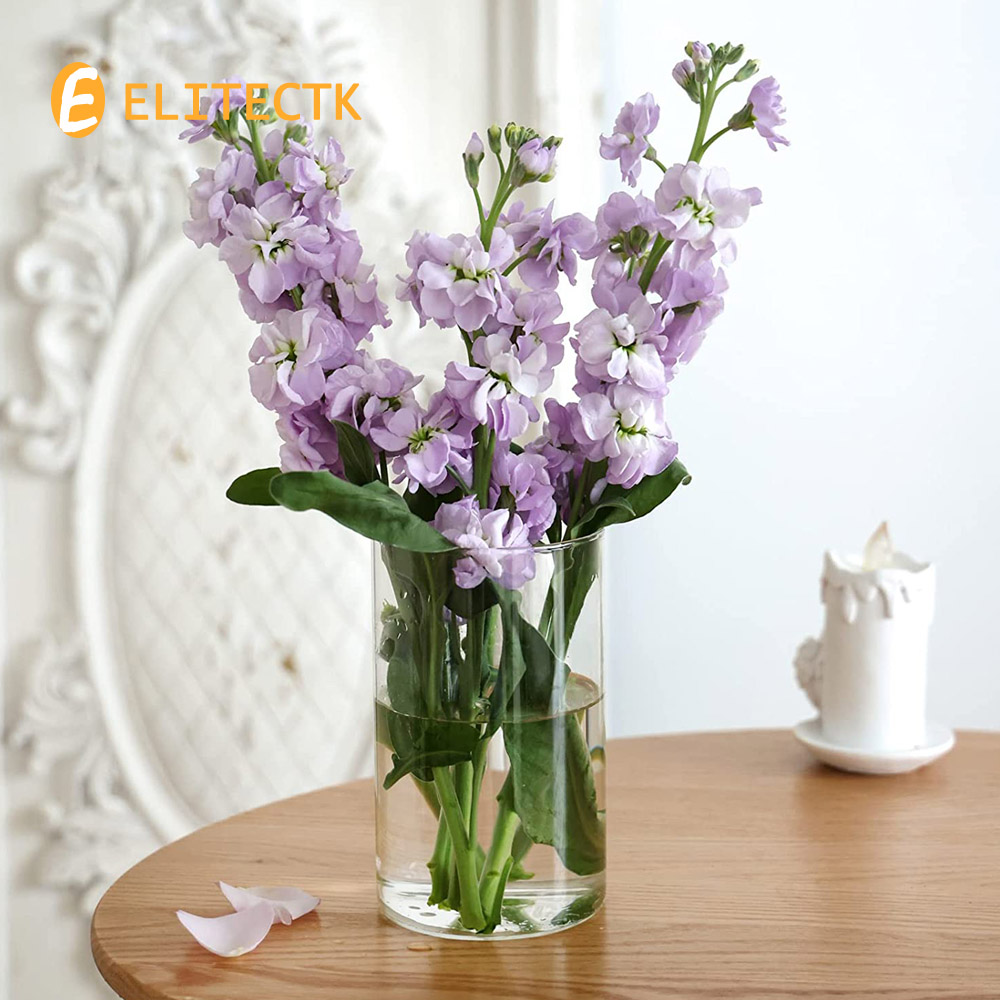 Glass Cylinder Vase Hurricane  - Centerpiece Vase Tall recension och pris